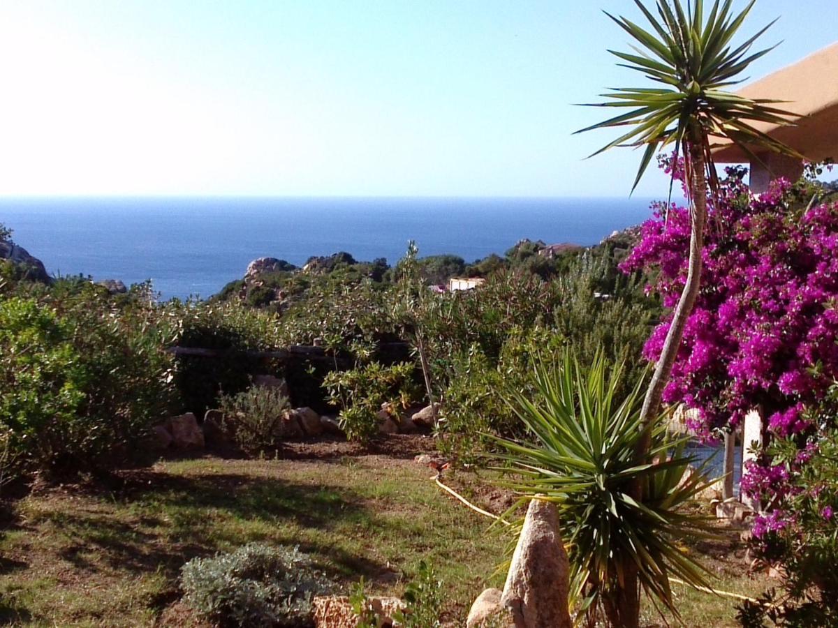Villetta Rocchi - Costa Paradiso Exteriör bild